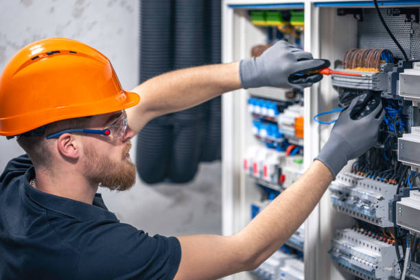 Best Electric Panel Repair  in Plymouth, WI